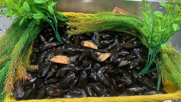 Moules de Bouchot  2kg