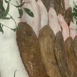 Sole française  pièce environ 225gr Juste grattée