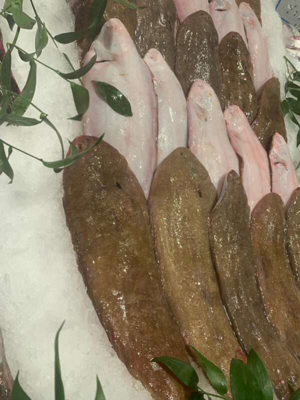 Sole française  pièce environ 225gr Juste grattée