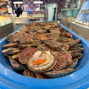 Coquilles Saint Jacques 3kg