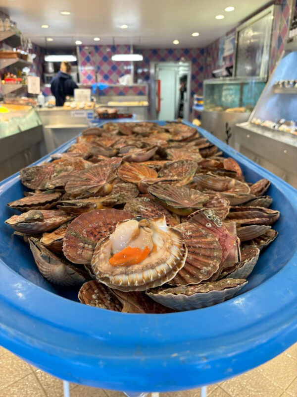 Coquilles Saint Jacques 1kg