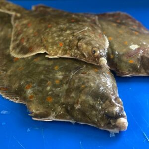 carrelet entier 7/800gr